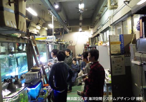 大規模波動地盤総合水路