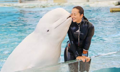 横浜・八景島シーパラダイス