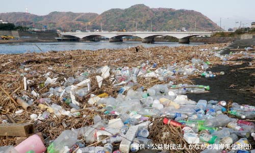 海岸にプラスチックごみが溢れている様子