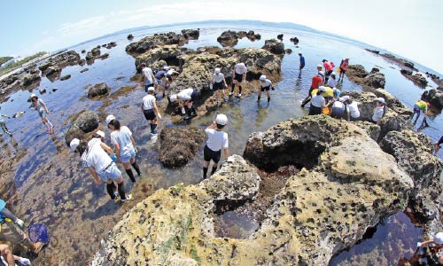 磯場で生き物探しなどの自然観察を行う子ども達